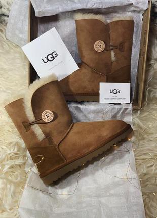 Жіночі коричневі уггі ugg bailey button brown