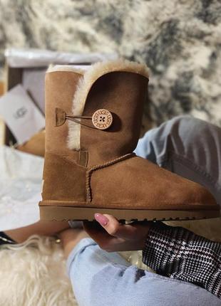 Женские коричневые угги ugg  bailey button brown7 фото