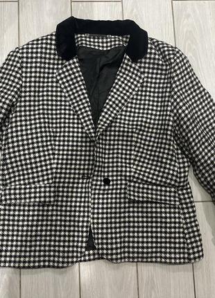 Піджак жакет в гусячу лапку +оксамит