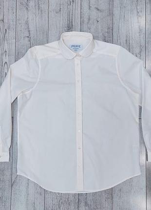 Елегантна жіноча сорочка з відтінком айворі та довгим рукавом