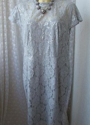 Мереживна сукня батал dorothy perkins р.52 7014