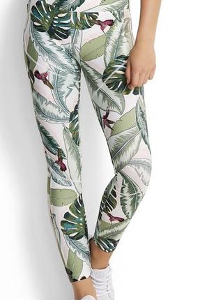 Красивые лосины в цветочный тропический принт