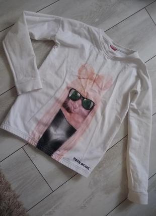 Кофточка, реглан