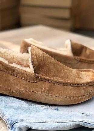 Угги угги сапоги мужские мокасины ugg ascot-suede 5775