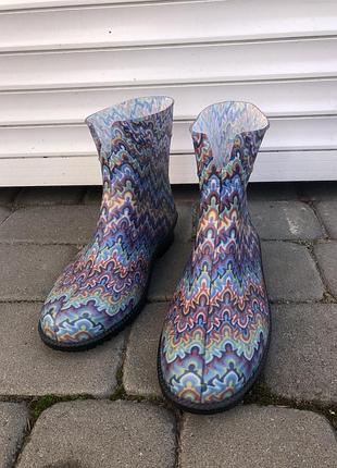 Гумові чобітки