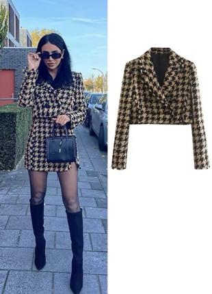 Твидовый укороченный пиджак amisu zara в гусиную лапку