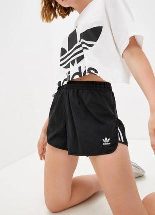 Шорти adidas originals жіночі кольори чорний
