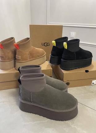 Уггі ugg dipper угги