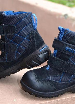 Зимние термосапоги ecco goretex 21р.состояние новых.2 фото