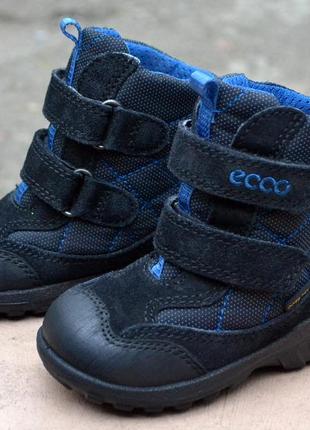 Зимние термосапоги ecco goretex 21р.состояние новых.