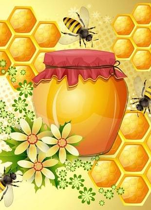 Продам мед 🍯