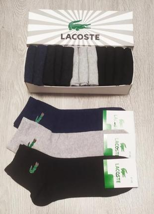 Носки, носки мужские lacoste -набор 12 пар в коробке