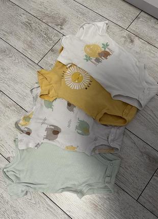 Боди картерс