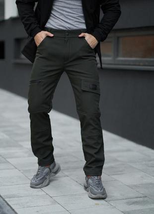 Теплые брюки softshell