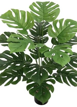 Латексне дерево- вазон монстера