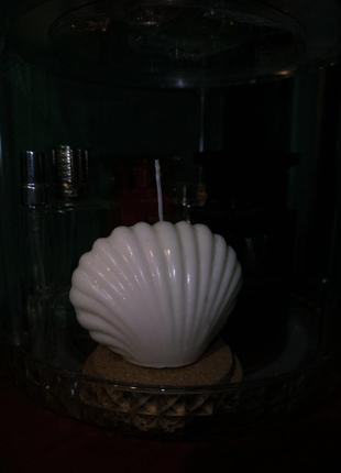 Соєва свічка у вигляді ракушки