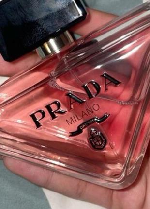 Prada paradoxe