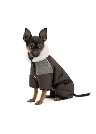 Комбінезон pet fashion