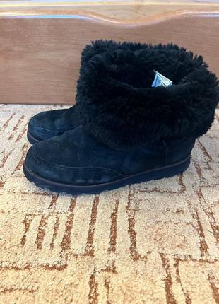 Сапоги ugg