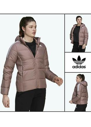 Куртка пуффер xs-s adidas утепленная демисезонная зимняя женская фиолетовая сиреневая пудра бомбер пуховик женский фиолетовый весна