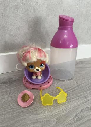 Вип петс собачка vippets
