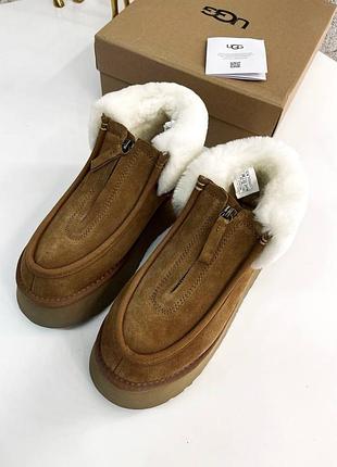 Сапоги женские