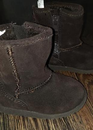 Circo замшеві угі