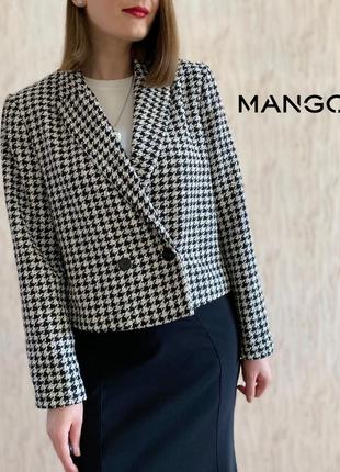 Жакет от mango пиджак гусиная лапка