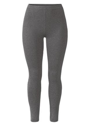 Лосины хлопковые для женщины esmara lycra® 370770  серый