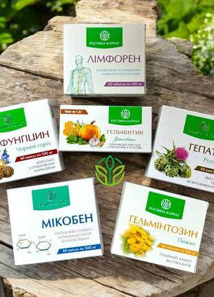 Курс очисної програми на місяць від грибків і гельмінтів