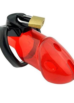 🌼пояс вірності