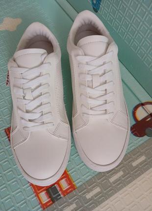 Кросівки-кеди steve madden оригінал