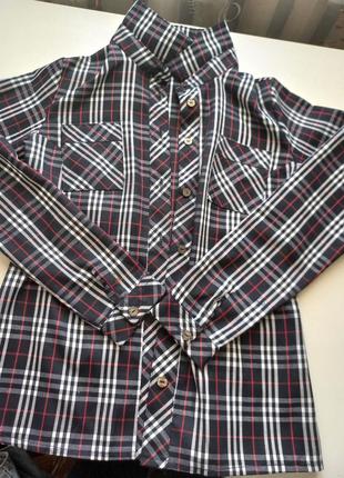 Рубашка,50 или подарок к заказу