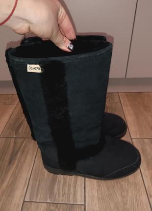 Женские зимние сапоги угги 40/41 на широкую ногу bearpaw,26см