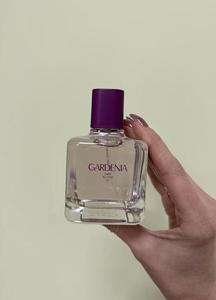 Zara gardenia парфумована вода, 90 мл