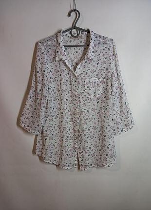 Блузка размер евро 38