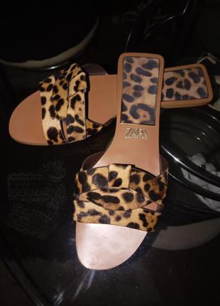 Шлепанцы zara