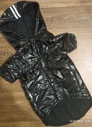 Зимняя водоотталкивающая куртка для собачки для средней - крупной породы