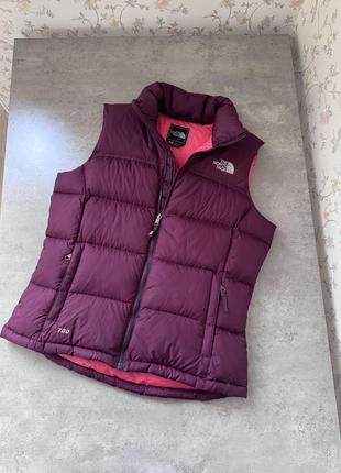 The north face 700 женская пуховая жилетка р. м оригинал tnf