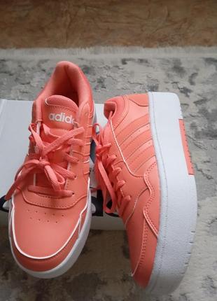 Яркие кроссы adidas hoops 3.0 bold cloud 
 us 8