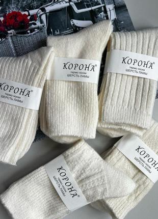 5 пар женские молочные зимние высокие шерстяные термо носки без махры корона 36-41р.