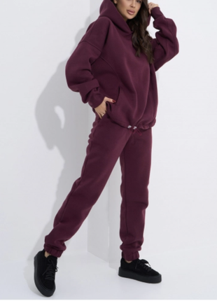 Спортивний костюм теплий на флісі зима винний бордо сливовий реглан кенгуру капюшон резинка фіолетов