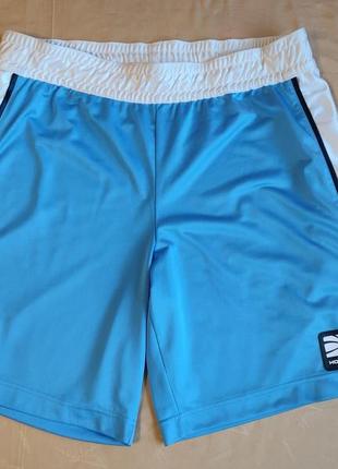 Баскетбольные шорты nike