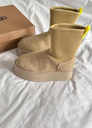 Угги ugg 3