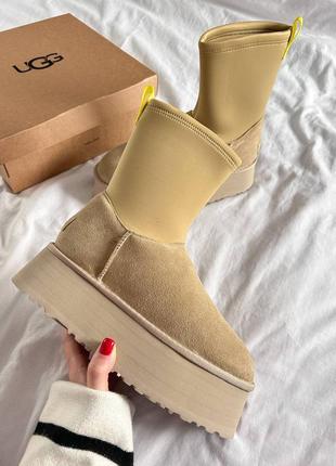 Угги ugg 4