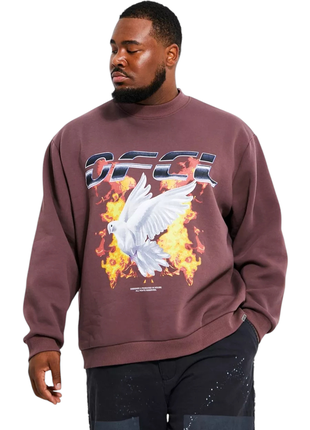 Теплый свитшот большого размера
можно костюмом
унисекс