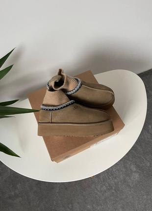 Натуральные женские угги на платформе ugg tasman platform sock khaki