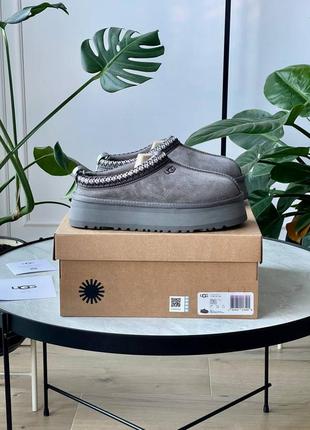 Угги зимние женские ботинки ugg tasman platform dark grey
