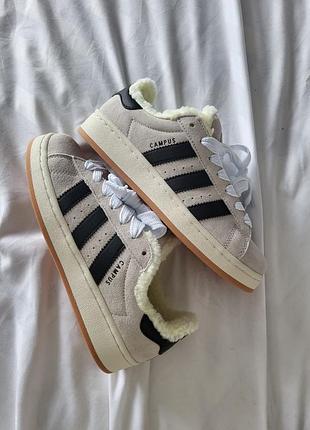 Adidas campus beige