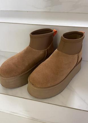 Ugg оригинальные